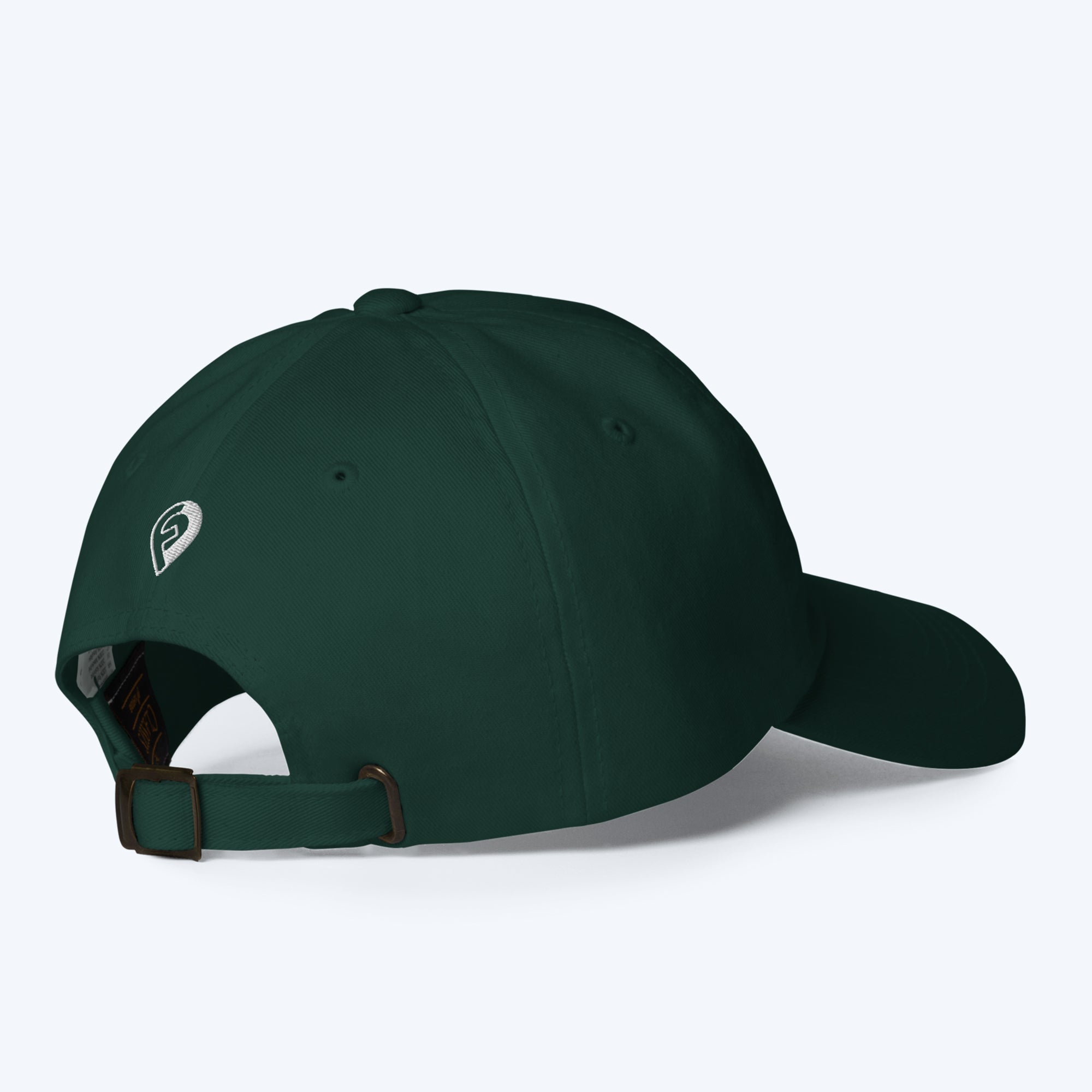 Phoenix Neighborhoods Dad Hat