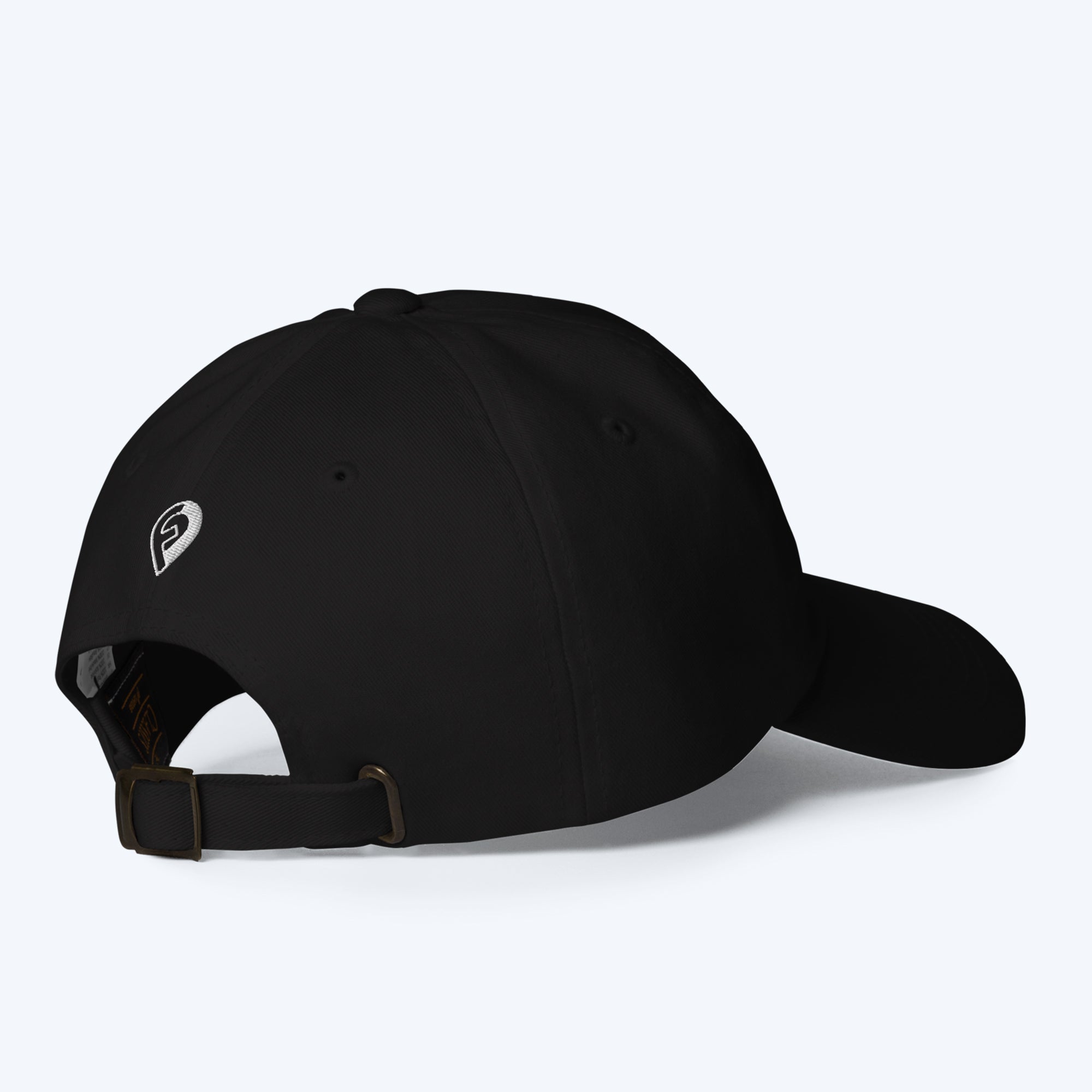 Phoenix Neighborhoods Dad Hat