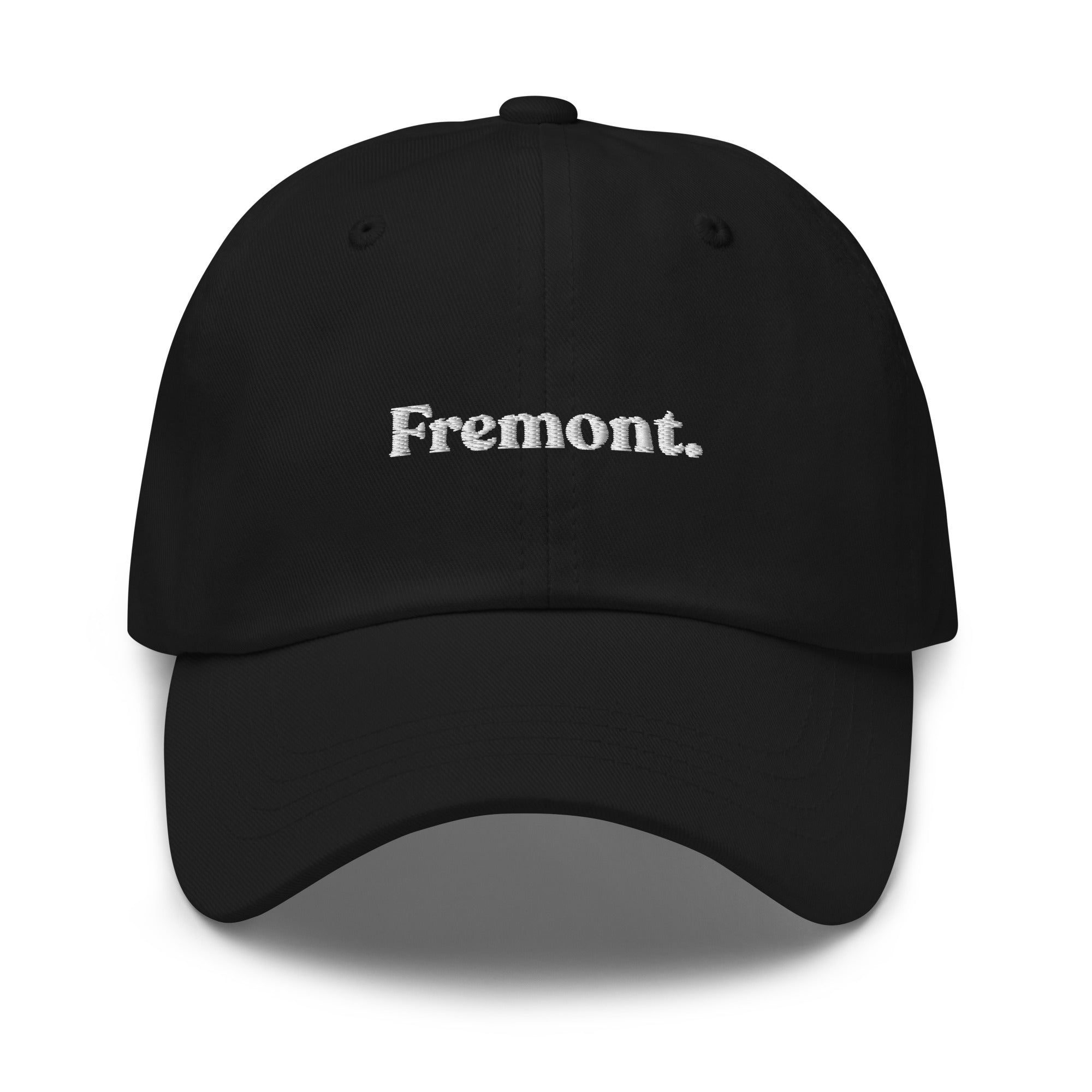 Seattle Neighborhoods Dad Hat - Fremont