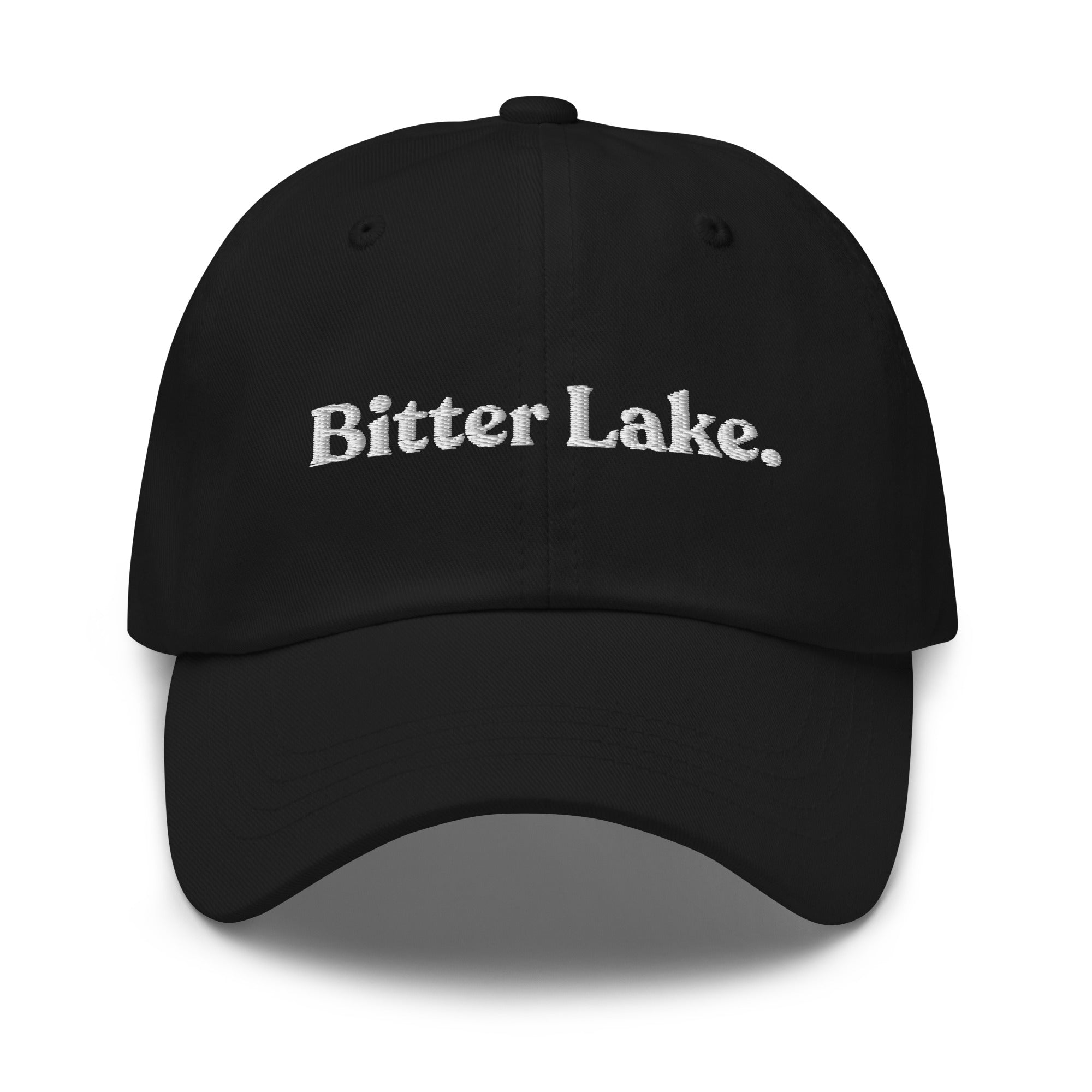 Seattle Neighborhoods Dad Hat - Bitter Lake
