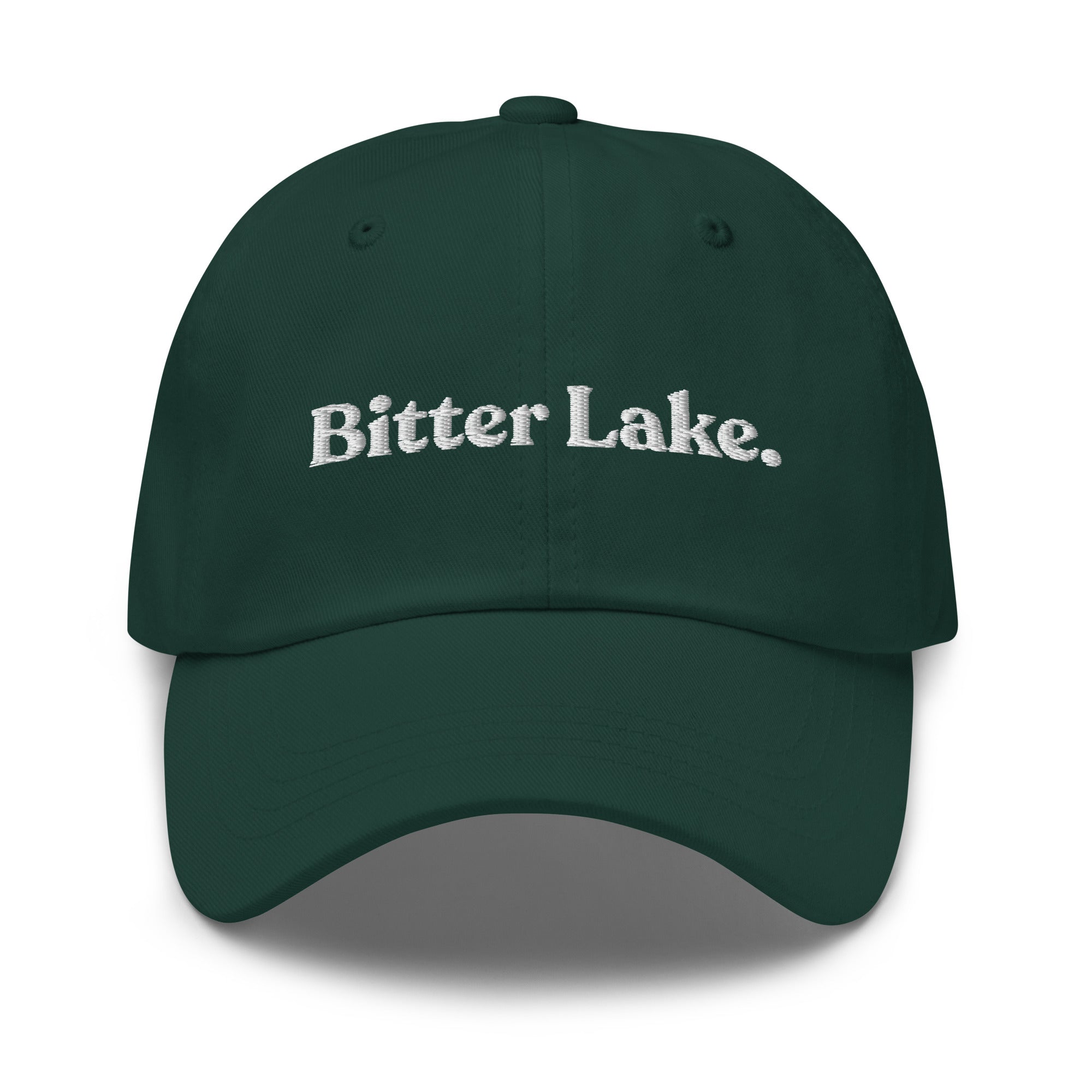Seattle Neighborhoods Dad Hat - Bitter Lake