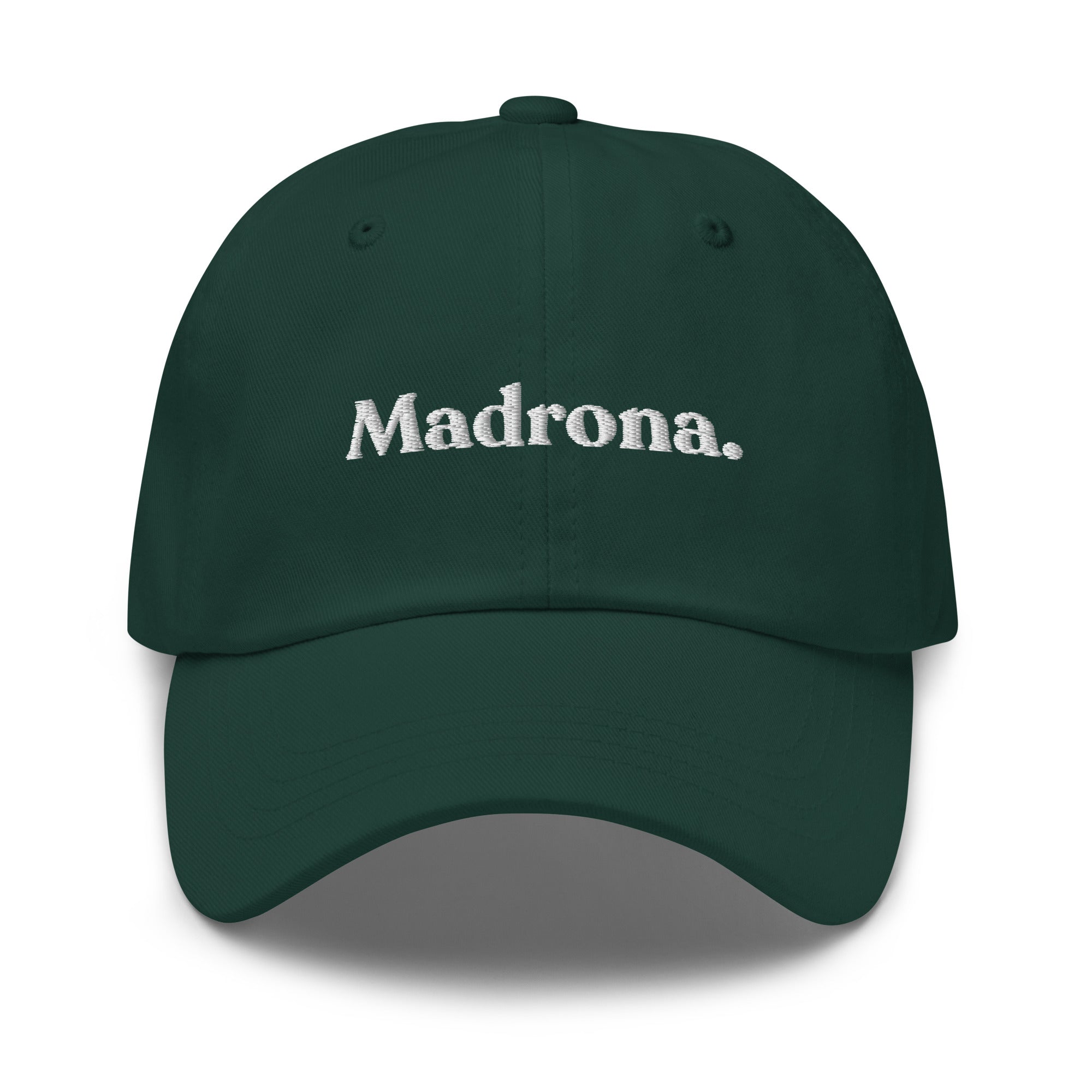 Seattle Neighborhoods Dad Hat - Madrona