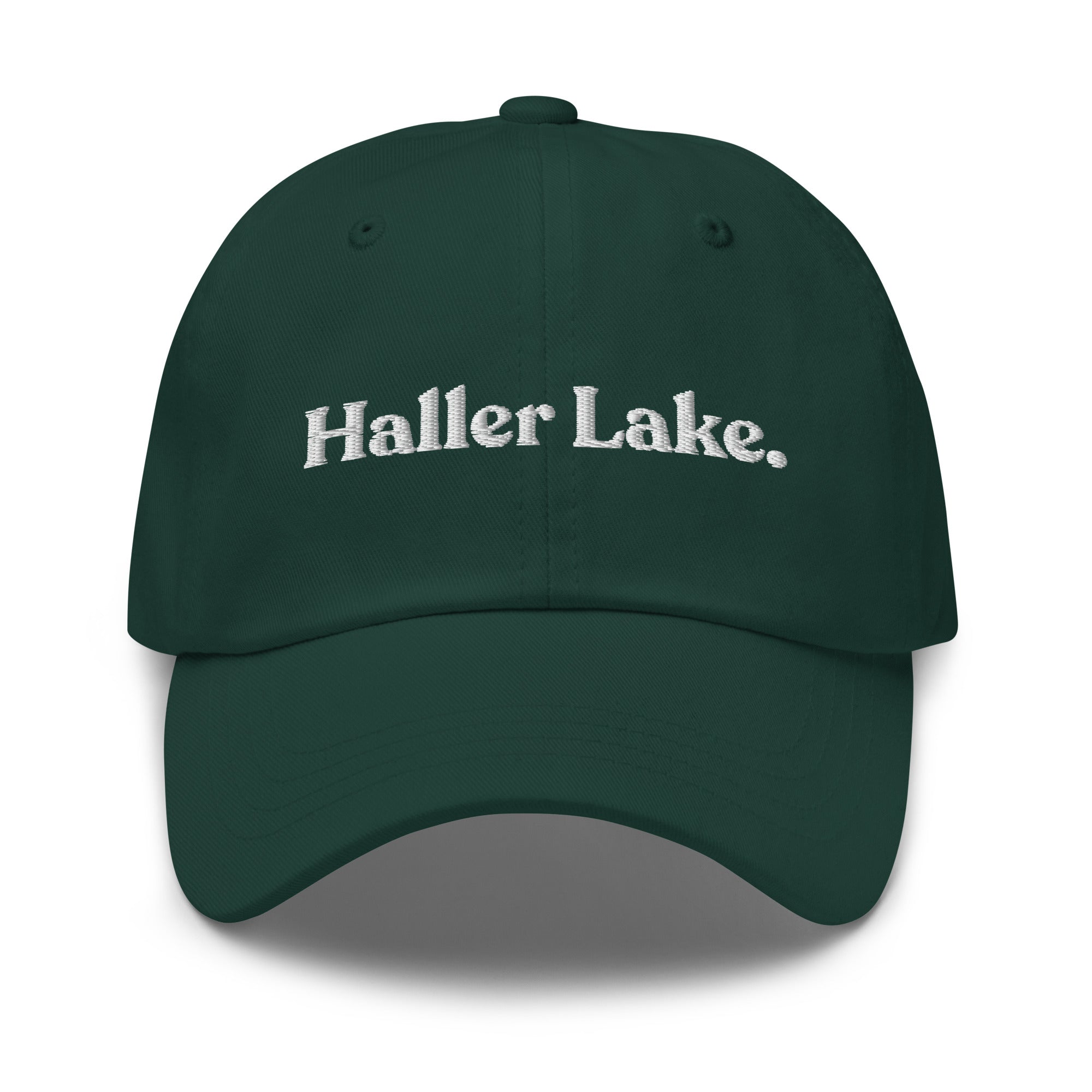 Seattle Neighborhoods Dad Hat - Haller Lake