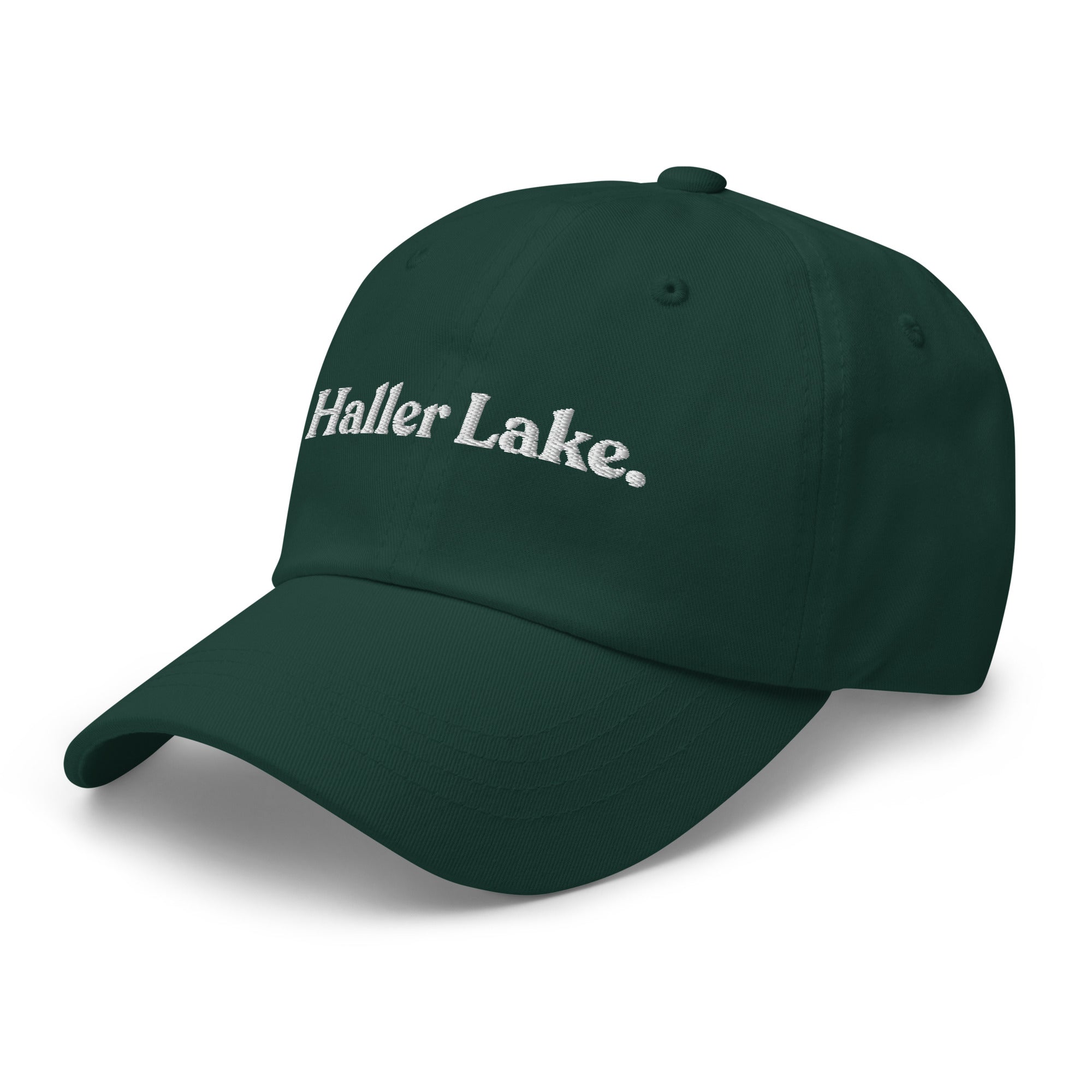 Seattle Neighborhoods Dad Hat - Haller Lake