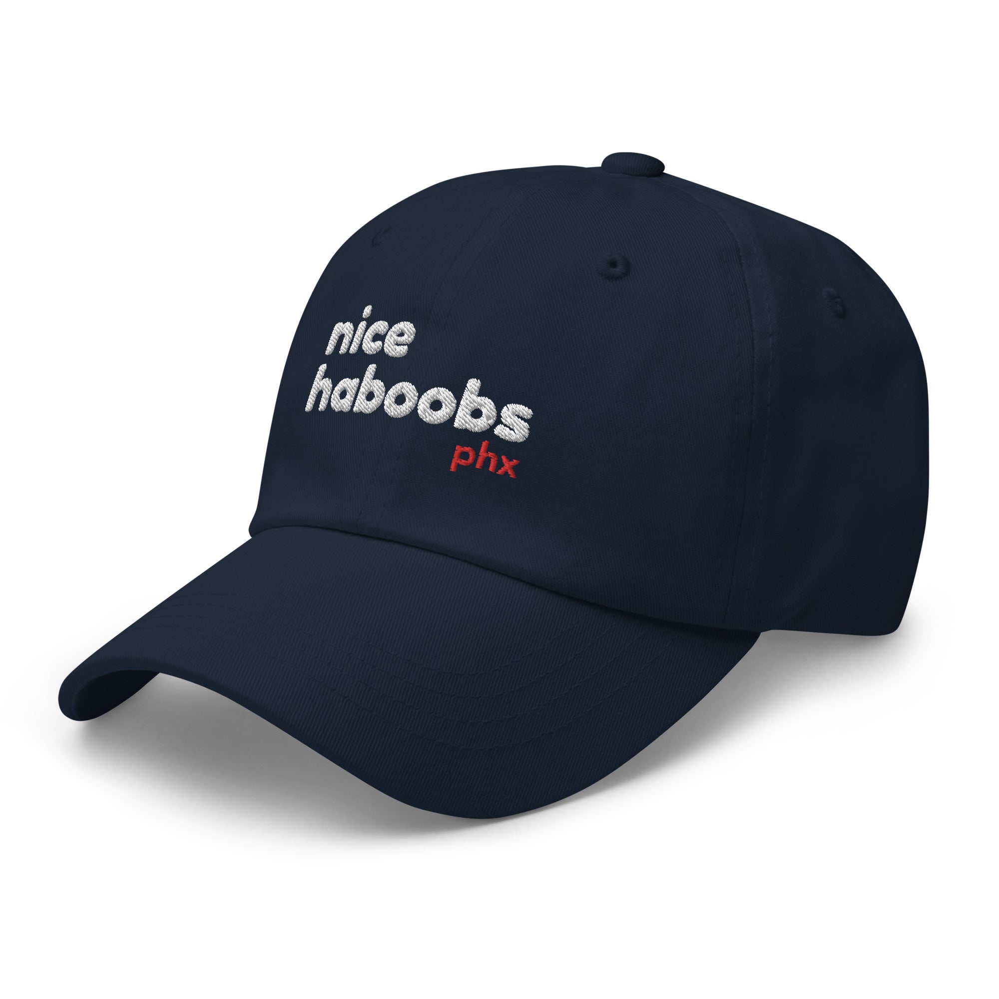 "Nice Haboobs" Classic Dad Hat - Phoenix Slang